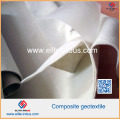 PEHD LDPE LLDPE PVC EVA Geomembranes Composite Pet PP Géotextiles non-tissés